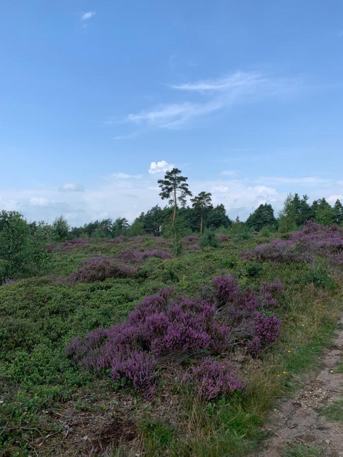 Haarles Landleven Bed & Breakfast Eksteriør bilde